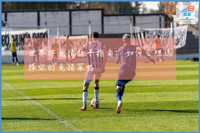 世界杯竞猜新手指南：如何合理选择你的竞猜策略
