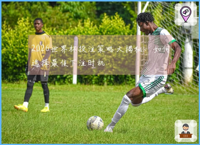 2026世界杯投注策略大揭秘，如何选择最佳下注时机