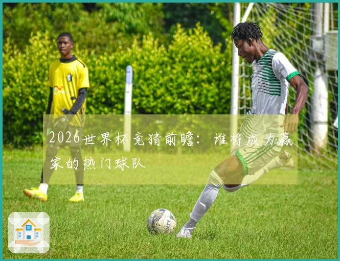 2026世界杯竞猜前瞻：谁将成为赢家的热门球队