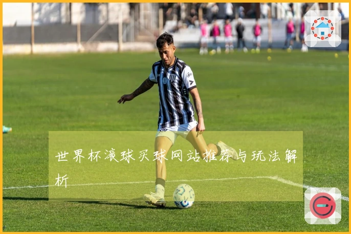 世界杯滚球买球网站推荐与玩法解析