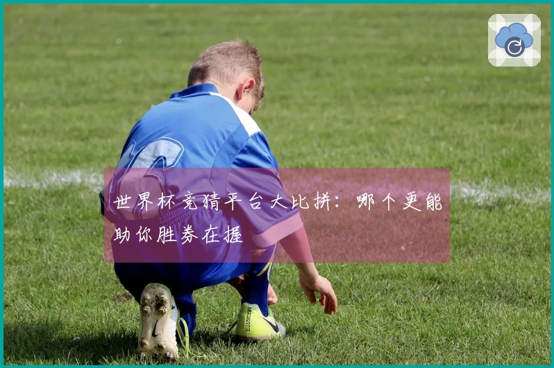 世界杯竞猜平台大比拼：哪个更能助你胜券在握