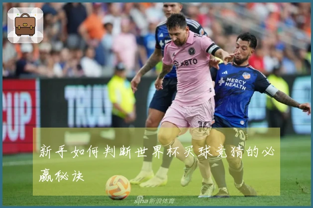 新手如何判断世界杯买球竞猜的必赢秘诀