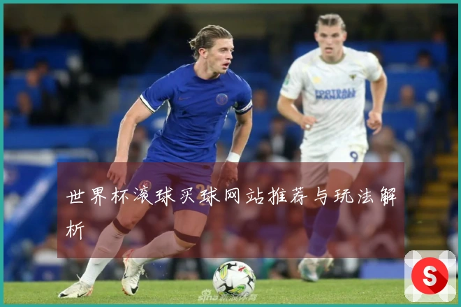 世界杯滚球买球网站推荐与玩法解析