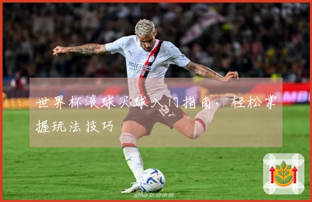 世界杯滚球买球入门指南，轻松掌握玩法技巧