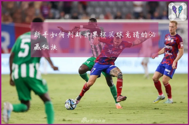 新手如何判断世界杯买球竞猜的必赢秘诀