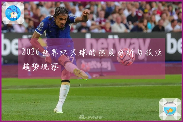 2026世界杯买球的热度分析与投注趋势观察