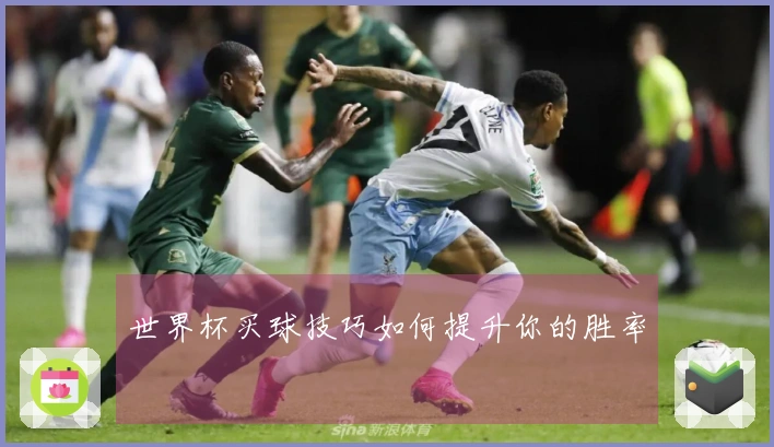 世界杯买球技巧如何提升你的胜率